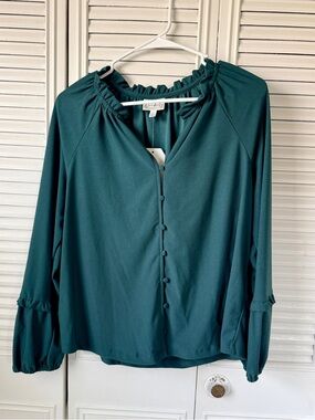 Wonderly Teal Ruffle-Neck Button Blouse